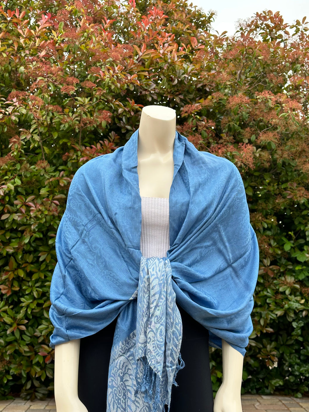 Blue w/White Border Design Pashmina Shawl